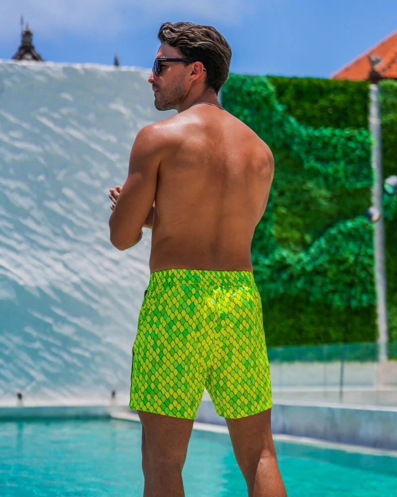 Dragon Scale - Lime 5" - Image 9