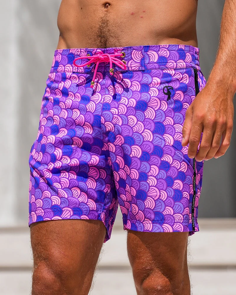 Nautilus - Amethyst 5" - Image 10