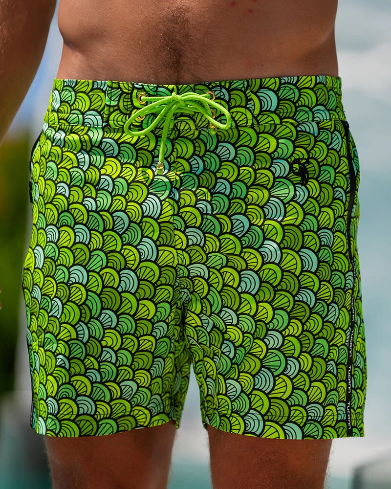 Nautilus Lime 5"
