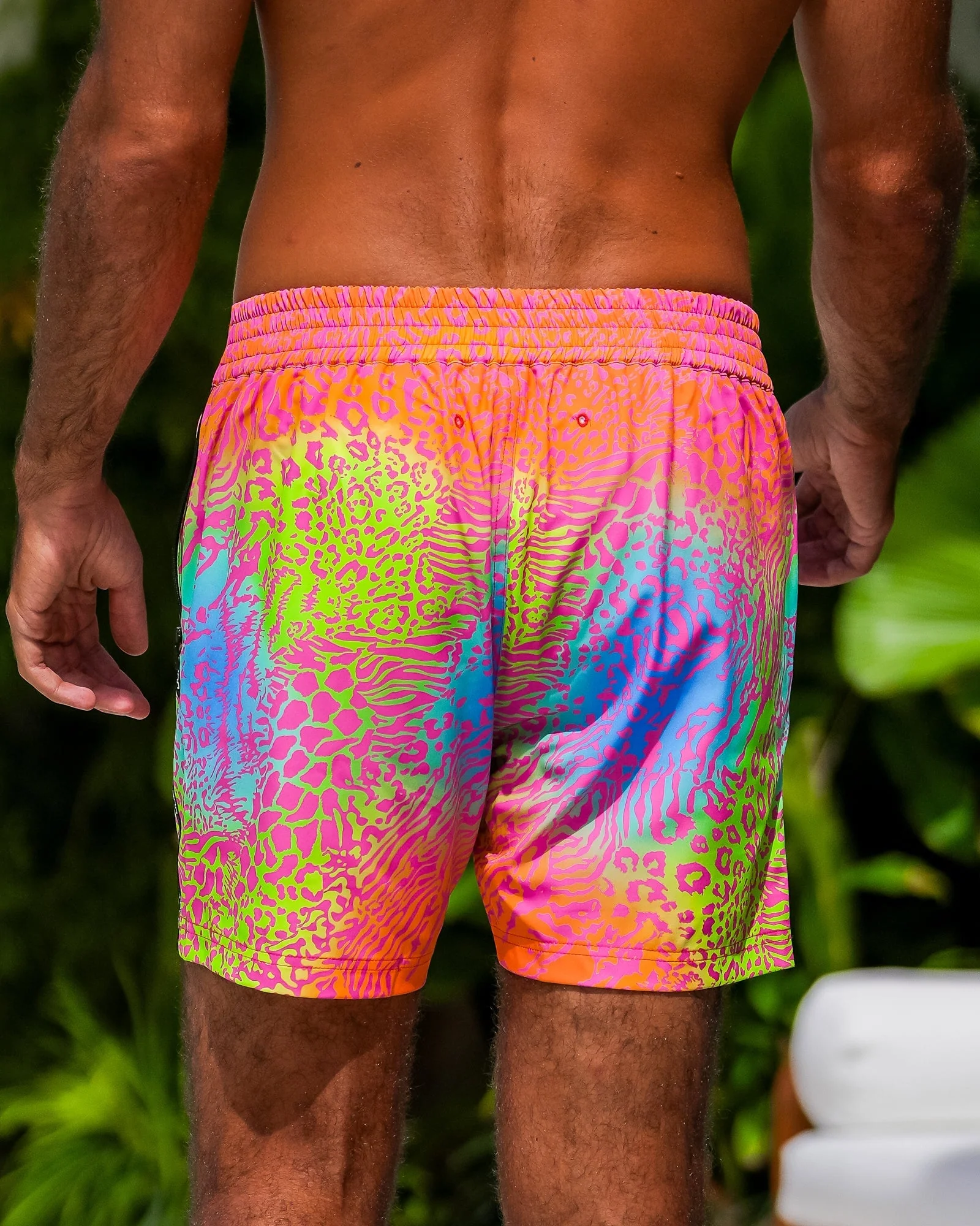 Vivid Jungle - Ignite 5" - Image 5