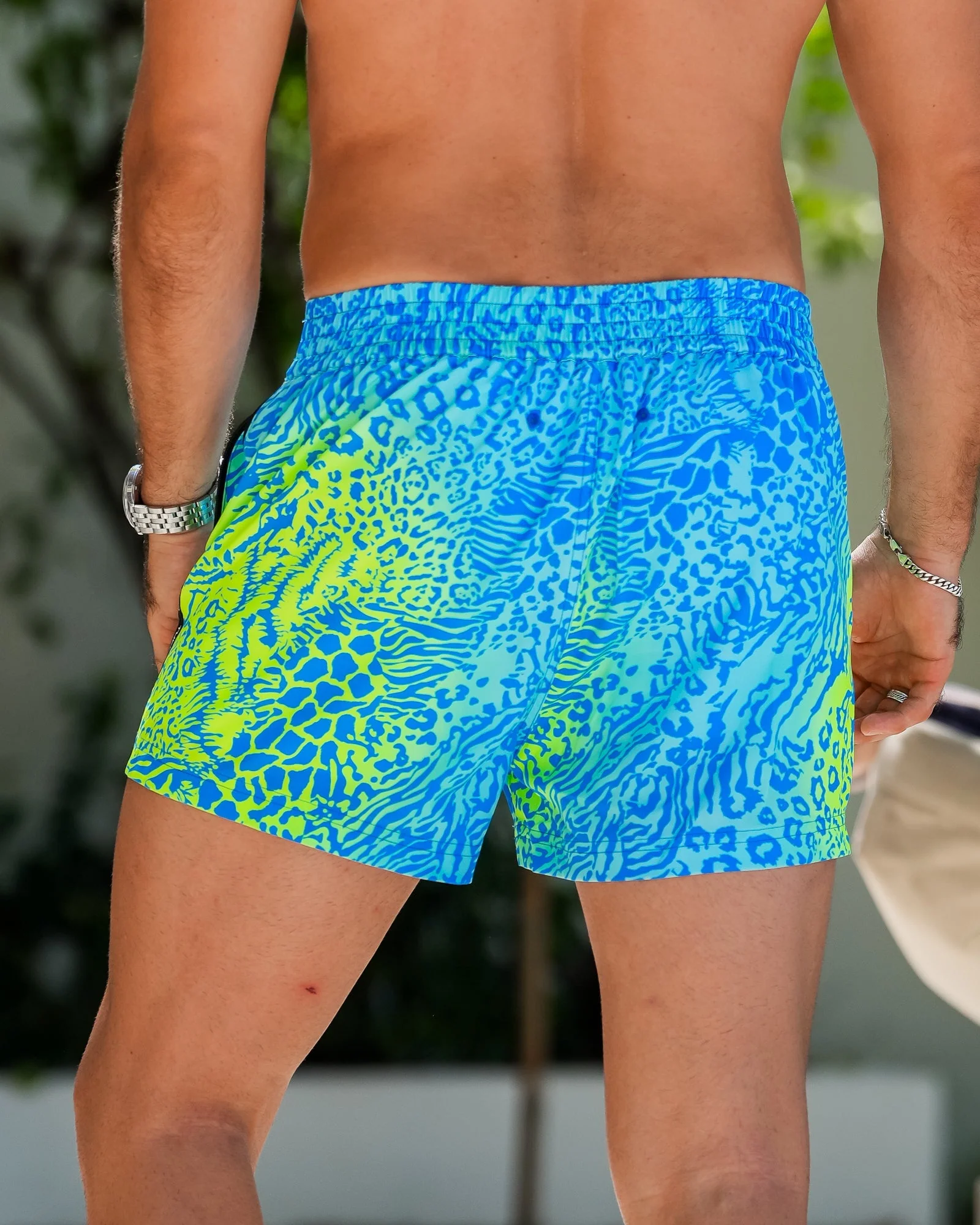 Vivid Jungle - Spark 3" - Image 5